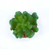 Ensemble de plantes artificielles, mini cactus réalistes, arrangement de bonsaï, écologiques, durables, pour la décoration de la maison et du bureau, en plastique, imitation