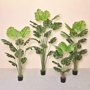 Suministros <span class=keywords><strong>de</strong></span> jardín Paisaje grande Árbol Verde Viajero Plátano Tortuga-Respaldo <span class=keywords><strong>Pino</strong></span> Simulación Casa verde natural Oficina - Product Image 4