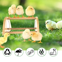 Mini Miroir pour Poussins en Bambou Robuste et Écologique, Perchoir d'Entraînement pour Poulailler, Montage Facile