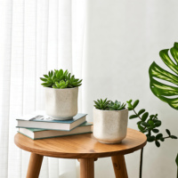 Jardinière irrégulière de style Wabi-Sabi avec finition sculptée à la main pour plantes d'intérieur et d'extérieur, pot de jardin, décoration de jardin, jardinière en céramique