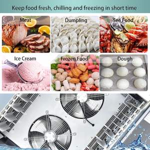 Kolice raffreddamento ad aria e ventola 5-vassoio Gelato Blast Freezer consegna porta a porta con certificazione CE - Product Image 4