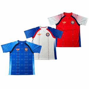 <span class=keywords><strong>Maillot</strong></span> de football style Haïti 2026 personnalisé, respirant, séchage rapide, évacuation de l'humidité, qualité supérieure, pour supporters - Vente en gros usine - Product Image 2
