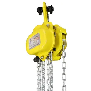 Serviço do OEM Bom preço para G80 Chain Hoist 1ton Fabricante Profissional Manual Chain Hoists