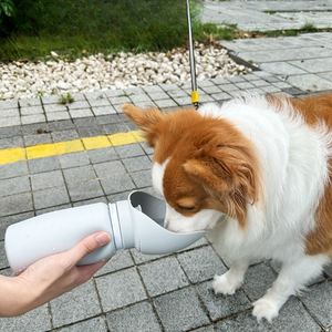 Tùy Chỉnh Du Lịch Xách Tay Chai Nước Con Chó Và Bát Mềm Silicone Có Thể Gập Lại Và Đóng Mở 2 Trong 1 Pet Nguồn Cung Cấp - Product Image 3