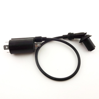 Bobine d'allumage pour GY6 260cc cyclomoteur Scooter 260cc 300cc ATV Quad