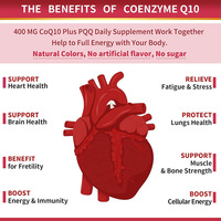 Compléments CoQ10 en gros 400mg, Capsules de Coenzyme Q10, Oméga-3, Vitamine E, PQQ, Biopérine, 120 unités, 2 doses quotidiennes, Haute absorption