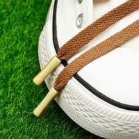 Aglets de luxe en résine corneux bicolores personnalisés avec logo sur mesure pour cordons de sweat-shirt et lacets de chaussures, vente en gros