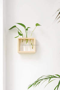 Station de propagation murale en verre, vase moderne pour bourgeons de fleurs sur support en bois, terrarium de table avec 3 tubes à essai - Product Image 6