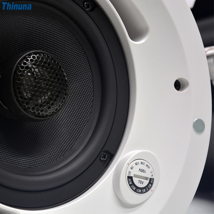 Thinuna GS-8CT High End 60w 8 Inch Ceiling Speaker System Audio Music Coaxial Hifi In-ceiling Flush Mounted Ceiling Speaker · image 6