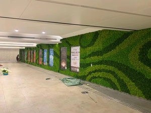 Wholesale Stabilize Reindeer <strong>Moss</strong> Wall Art <strong>Moss</strong> Panel Decorations Preserved <strong>Moss</strong> - Product Image 3