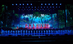 Alto brillo 19x15W LED RGBW 4 en 1 Zoom Par Light para escenario Conciertos Bares DJ Discotecas con iluminación láser de 3W - Product Image 4