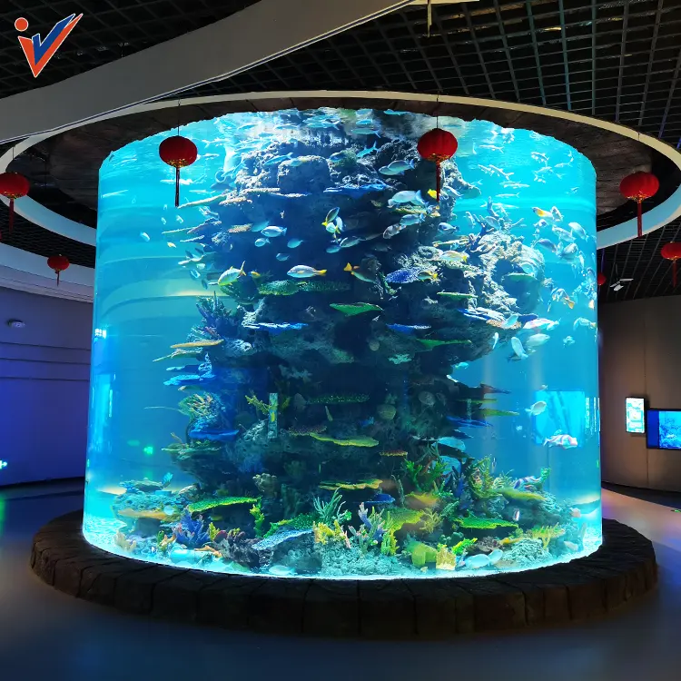 Venda quente Leyu fábrica aquários acrílicos, tamanhos personalizados, aquário cilíndrico personalizado