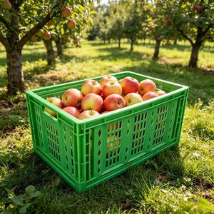 Caisses pliables économiques et paniers repliables pour l'emballage quotidien des récoltes agricoles et l'expédition en marché - Product Image 6