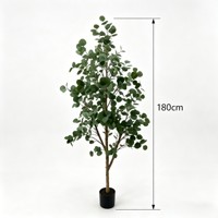 Tanaman Pot Artifisial Eucalyptus Sentuhan Asli Tanpa Perawatan & Tanpa Penyiraman, Batang Kayu Asli dalam Pot Putih untuk Meja & Rak