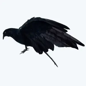 Crows ชีวิตขนาดใหญ่พิเศษ Handmade สีดำ Feathered Crow สำหรับตกแต่งกลางแจ้ง