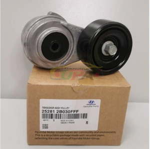 25281-2B030FFF TENSOR DE CORREA CON PULEYA 25281 2B030FFF para Hyundai Kia 252812B030FFF - Product Image 2
