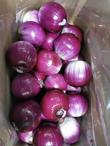 Cây trồng mới tươi bóc vỏ hành tây nhà máy chất lượng cao bóc vỏ hành tây - Product Image 3