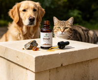 Gouttes liquides de Shilajit de l'Himalaya 100% naturel pour chiens, chats et petits animaux. Riche en acide fulvique et en plus de 80 oligo-éléments