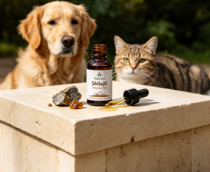 Gouttes liquides <span class=keywords><strong>de</strong></span> Shilajit <span class=keywords><strong>de</strong></span> <span class=keywords><strong>l</strong></span>'<span class=keywords><strong>Himalaya</strong></span> 100% naturel pour chiens, chats et petits animaux. Riche en acide fulvique et en plus <span class=keywords><strong>de</strong></span> 80 oligo-é<span class=keywords><strong>l</strong></span>éments - Product Image 1