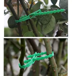 DaringFish Accessoires de jardinage : Clips de greffage pour plantes en PET, attaches pour légumes de serre et lianes, boucles de fixation pour jardin - Product Image 6