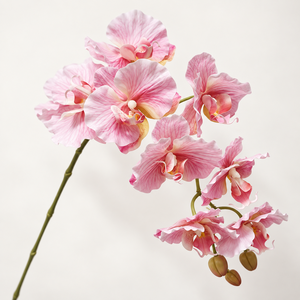 Orchidée Phalaenopsis Artificielle Personnalisée de Qualité Supérieure, Texture de Pétales Réaliste, Fleurs en Plastique Tendance, Prise en Charge OEM/ODM - Product Image 5