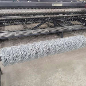 <span class=keywords><strong>Grillage</strong></span> hexagonal à <span class=keywords><strong>double</strong></span> torsion pour enclos de volailles (poulets, canards, oies), grille métallique <span class=keywords><strong>rigide</strong></span> galvanisée - Product Image 6