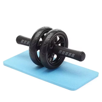 Vente en gros Roue ABS multifonctionnelle AB Power Roller Sports Fitness Workout Push-up et Exercice abdominal avec tapis