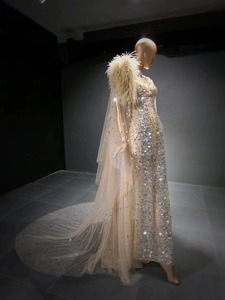 QUEENS kıyafeti muhteşem Mermaid şampanya Sequins boncuklu devekuşu tüyü kostüm gösterisi elbise moda gösterisi akşam elbise - Product Image 3