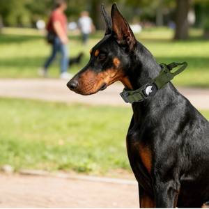 Collar Táctico <span class=keywords><strong>de</strong></span> Nailon <span class=keywords><strong>de</strong></span> Alta Resistencia para Perros con GPS, Diseño 2026, con Soporte para Airtag y Cierre <span class=keywords><strong>de</strong></span> Hebilla, Patrón Sólido - Product Image 2