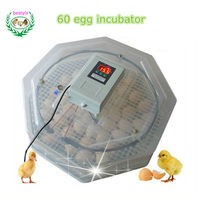 Offre Spéciale!! Mini incubateur d'œufs à JN5-60 automatique/60 incubateur d'œufs de poule machine à couver les œufs de caille/Héclosoir JANOEL5-60 INCUBATEUR
