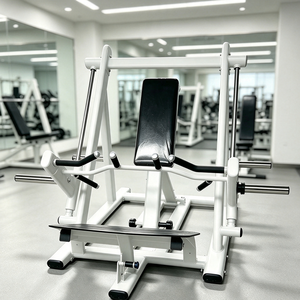 Machine à Rameurs Inclinée à Levier et Chargeurs à Disques, Robuste, pour Usage Commercial en Salle de Sport, Spécialisée dans le Renforcement Musculaire Ciblé du Dos - Product Image 1