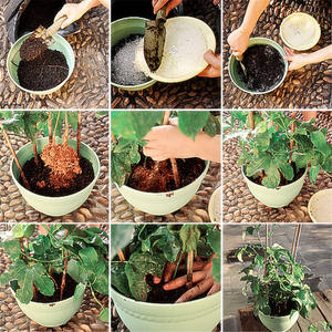 Fertilizante de SAP, poliacrilato de potasio para cultivos, árboles frutales, verduras, horticultura, césped, regeneración de bosques - Product Image 3