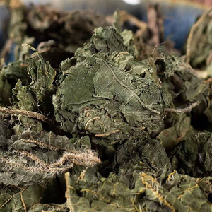 Nouvel Arrivage Feuilles de <span class=keywords><strong>Ortie</strong></span> Naturelles (Qianma Ye) – Plantes Médicinales Chinoises Origine Chine - Product Image 5