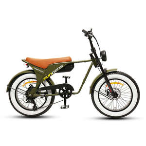 Vélo électrique tout-terrain TXED style <span class=keywords><strong>vintage</strong></span> avec pneus de 20 pouces, batterie au lithium 48V/250W 14,5Ah, freins à disque mécaniques avant/<span class=keywords><strong>arrière</strong></span>, pneus larges - Product Image 2