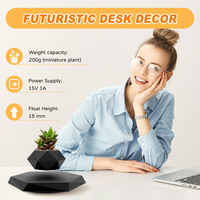 Mag Levitating Plant Pot Maceta giratoria negra Soporte flotante para suculentas Plantas pequeñas para el hogar Sala de estar Escritorio de oficina
