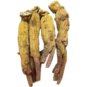 Wholesale of authentic imported Korean ginseng in bulk with carefully selected original roots
