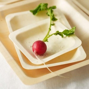 Vaisselle et articles de table jetables biodégradables en <span class=keywords><strong>bois</strong></span> durables avec gravure, assiette écologique pour la rentrée scolaire - Product Image 2