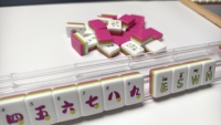 Tuiles de Mahjong Américaines de Luxe à Trois Couches Rouge Rose, Tuiles de Mahjong de Voyage et d'Extérieur, Prix Direct Usine