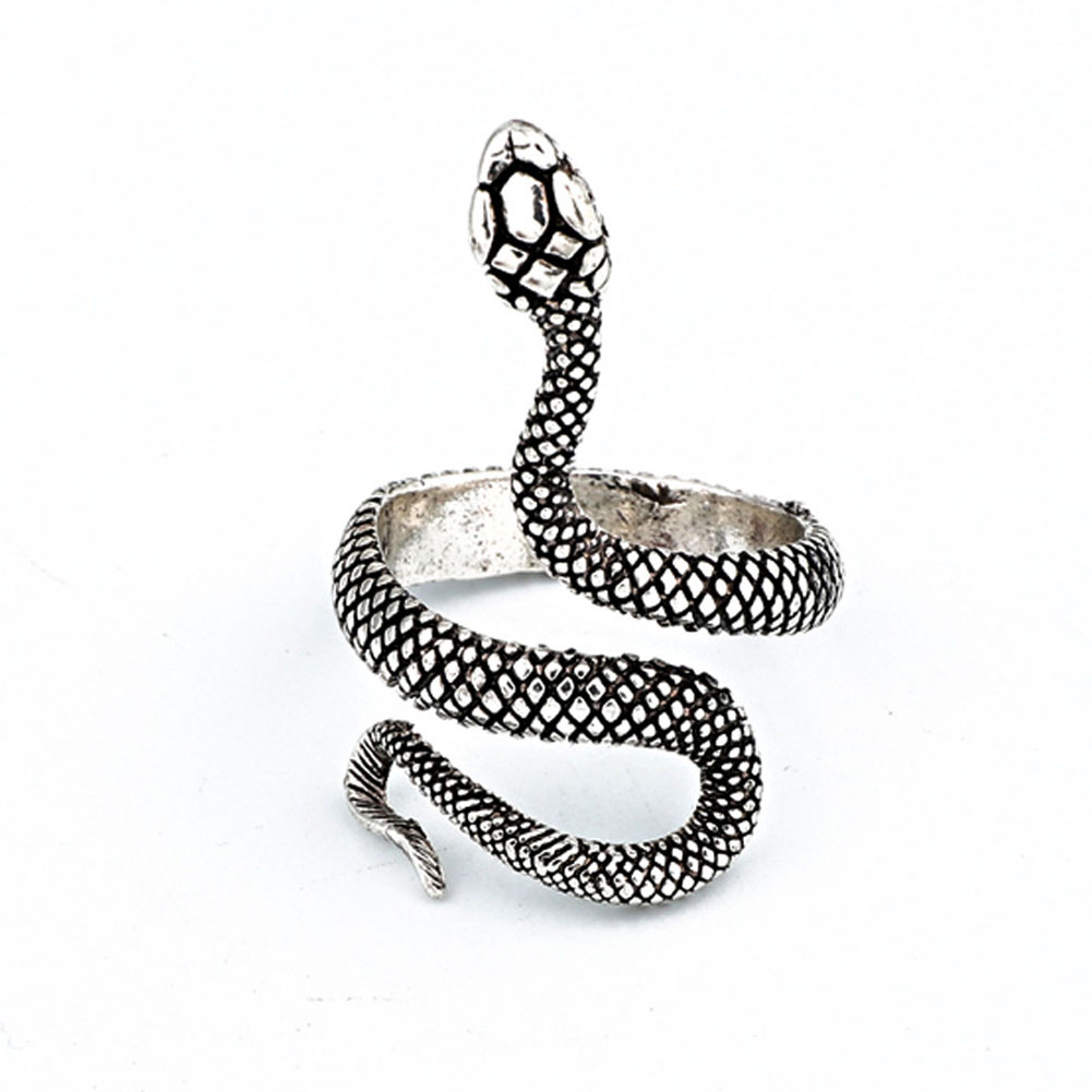 Dragon Claw Ring Retro Punk Exaggerated Snake Ring Ouroboros Ring