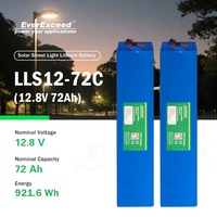 Baterai Lithium Ion Logo Kustom untuk Modul LiFePO4 Sistem Surya untuk Penerangan Jalan dan Pasokan Daya Luar Ruangan