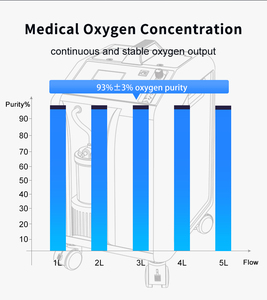 Mic hộ gia đình xách tay oxy tập trung 5L y tế 10L oxygene tập trung - Product Image 2