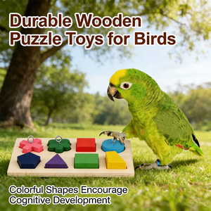 Jouet interactif moderne et écologique pour perroquets, trieur de formes en bois pour l'entraînement et l'intelligence des oiseaux, perruches et calopsites - Product Image 2