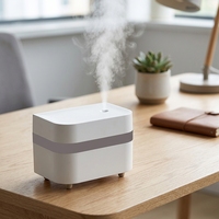 Diffuseur ultrasonique portable en plastique, best-seller d'usine, 450 ml, mini humidificateur rechargeable par USB avec batterie