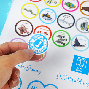 Chine Printing Company Activités préscolaires Mot Bébé Autocollant Livre Entraînement Journal Livres Impression - Product Image 4