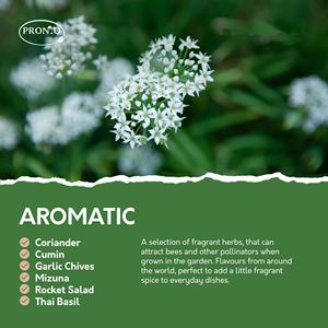 Kit de <span class=keywords><strong>jardin</strong></span> d'herbes aromatiques et classiques pour la maison comprenant des herbes aromatiques et classiques pour cultiver votre propre <span class=keywords><strong>jardin</strong></span> - Product Image 5