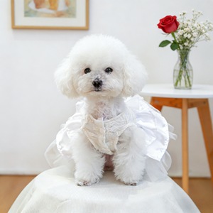 White Princess Dress <b>For</b> Pet <b>Dogs</b> Cats <b>Small</b> Puppies Moonlight Ballet Skirt Polyester Four Seasons Pet <b>Clothes</b> - Product Image 4