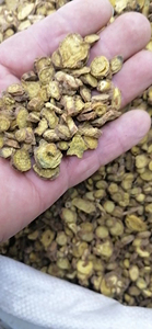 Huang Qin สมุนไพรรากเดียวแห้ง Scutellaria Baicalensis Georgi สำหรับใช้ทางการแพทย์ - Product Image 4