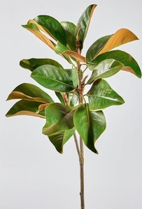 Vente en gros directe <span class=keywords><strong>de</strong></span> brindilles <span class=keywords><strong>de</strong></span> pin en spray, longues tiges, <span class=keywords><strong>verdure</strong></span>, pointes en PE, sprays <span class=keywords><strong>de</strong></span> brindilles <span class=keywords><strong>de</strong></span> pin - Product Image 3