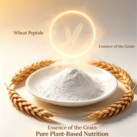 Poudre d'oligopeptides de blé de qualité supérieure, riche en acide glutamique, inférieur à 1000 Da, soluble pour les boissons, la nutrition sportive et les compléments alimentaires