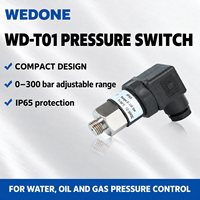 Contrôleur de pressostat réglable WD-T01, sortie de contact NO/NC, protection IP65, 24 VDC pour applications hydrauliques et pneumatiques